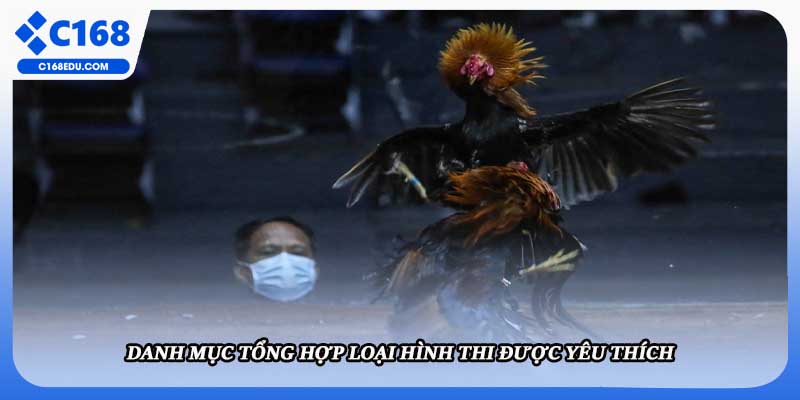 Danh mục tổng hợp loại hình thi được yêu thích