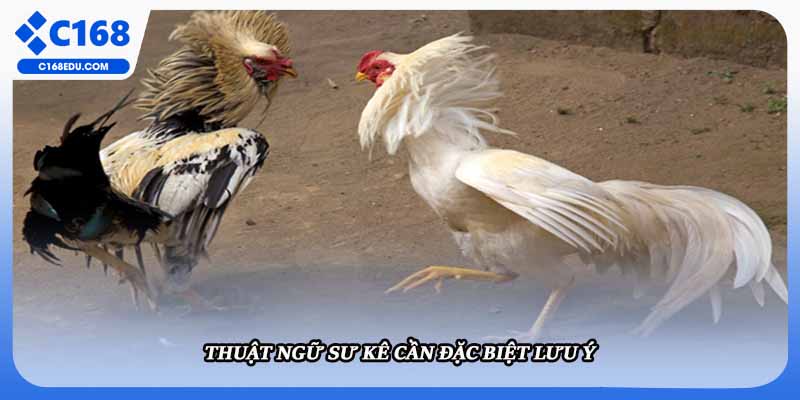 Thuật ngữ sư kê cần đặc biệt lưu ý